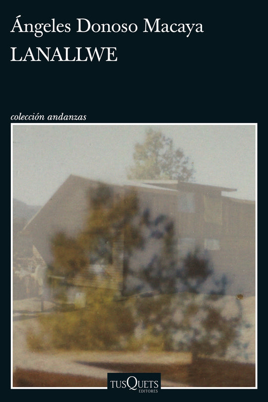 Lanallwe                                           -  Ángeles Donoso Macaya